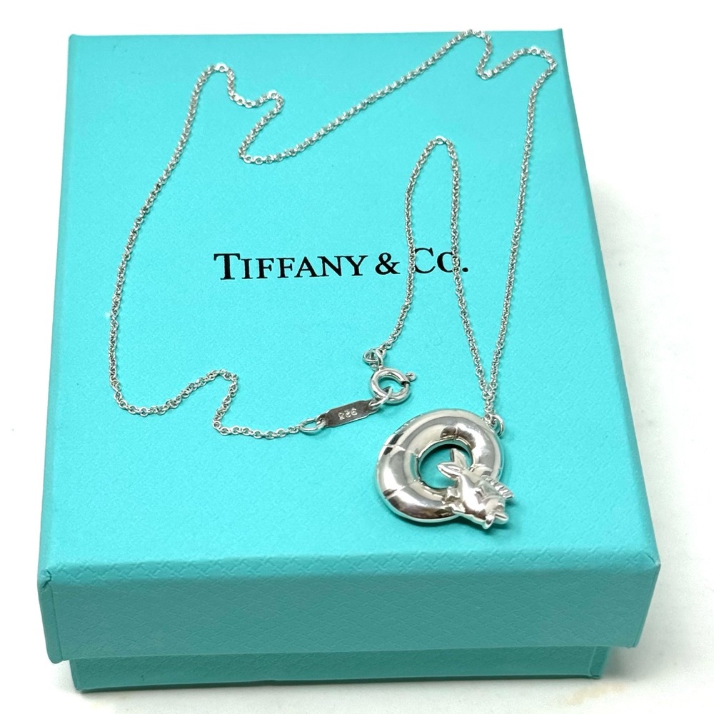 Authentic Tiffany & Co. Fish Swim Ring Float Pendant Necklace.